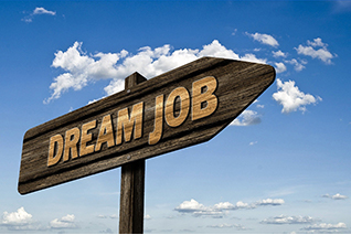 Career